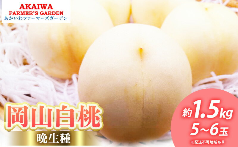 【ふるさと納税】桃 2026年 先行予約 岡山の 白桃 (晩生種) 約1.5kg 5～6玉 もも 岡山県 赤磐市産 フルーツ 果物 あかいわファーマーズガーデン　お届け：2026年8月下旬～2026年9月中旬 サムネイル2