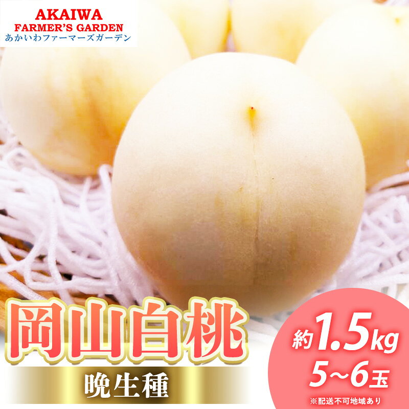 桃 2026年 先行予約 岡山の 白桃 (晩生種) 約1.5kg 5～6玉 もも 岡山県 赤磐市産 フルーツ 果物 あかいわファーマーズガーデン　お届け：2026年8月下旬～2026年9月中旬
