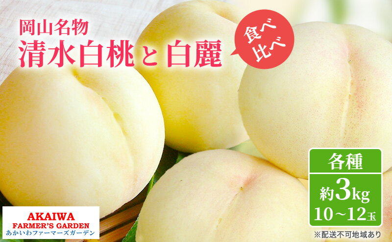 【ふるさと納税】桃 2026年 先行予約 定期便 岡山名物 白桃 食べ比べ ！ 清水白桃 と 白麗 各約3.0kg 10～12玉 あかいわファーマーズガーデン 果物　お届け：2026年7月中旬～2026年8月下旬 サムネイル2