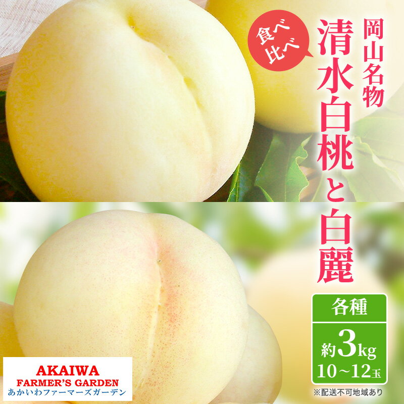 桃 2026年 先行予約 定期便 岡山名物 白桃 食べ比べ ！ 清水白桃 と 白麗 各約3.0kg 10～12玉 あかいわファーマーズガーデン 果物　お届け：2026年7月中旬～2026年8月下旬