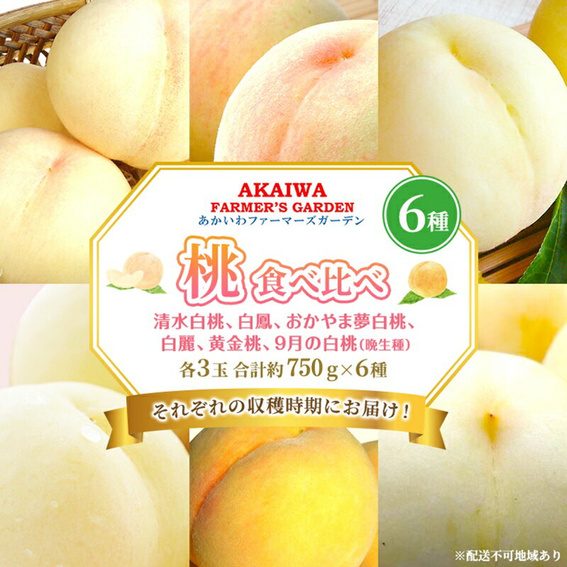 桃 2026年 先行予約 食べ比べ 各3玉 合計約750g×6種 もも 岡山県 赤磐市産 フルーツ 果物 あかいわファーマーズガーデン デザート 旬の果物 旬のフルーツ　お届け：2026年7月中旬～2026年9月下旬内に6回に分けて発送