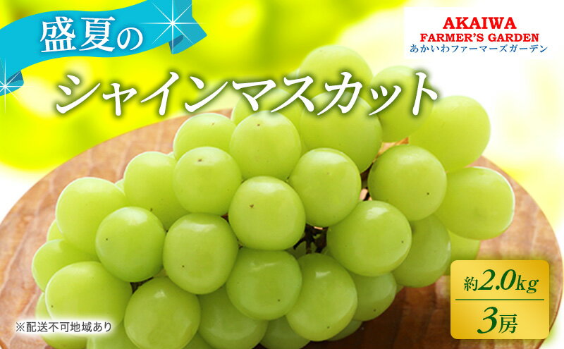 【ふるさと納税】ぶどう 2026年 先行予約 シャインマスカット 約2.0kg 3房 盛夏 葡萄 岡山県 赤磐市産 フルーツ 果物 あかいわファーマーズガーデン 果物類　お届け：2026年7月中旬～2026年8月上旬 サムネイル2