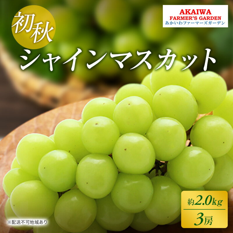 ぶどう 2026年 先行予約 シャインマスカット 約2.0kg 3房 初秋 葡萄 岡山県 赤磐市産 フルーツ 果物 あかいわファーマーズガーデン 果物類　お届け：2026年8月下旬～2026年9月上旬
