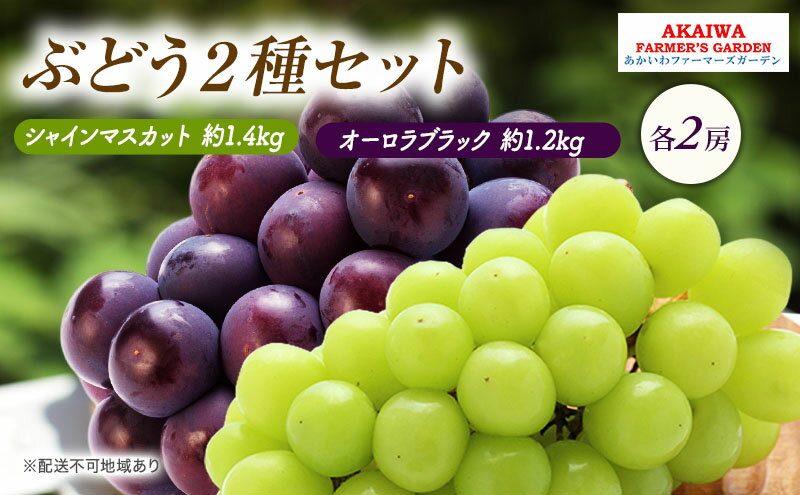 【ふるさと納税】ぶどう 2026年 先行予約 シャインマスカット 約1.4kg 2房 オーロラブラック 約1.2kg 2房 葡萄 岡山県 赤磐市産 フルーツ 果物　お届け：2026年9月上旬～2026年9月下旬 サムネイル2