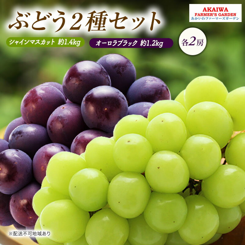 ぶどう 2026年 先行予約 シャインマスカット 約1.4kg 2房 オーロラブラック 約1.2kg 2房 葡萄 岡山県 赤磐市産 フルーツ 果物　お届け：2026年9月上旬～2026年9月下旬
