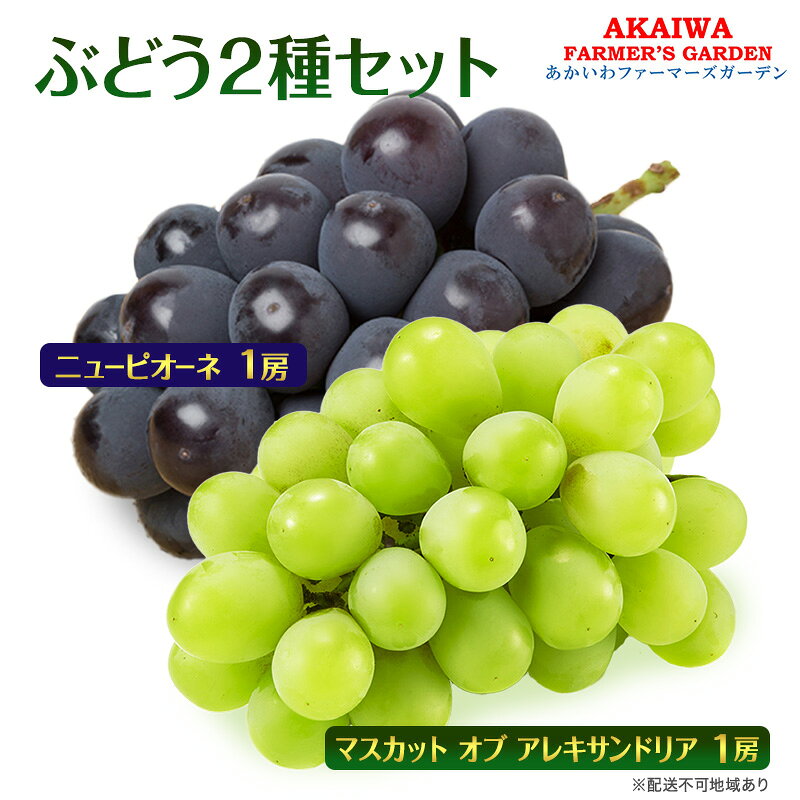 ぶどう 2026年 先行予約 マスカット オブ アレキサンドリア ニューピオーネ 各1房 合計 約1.1kg 葡萄 岡山県 赤磐市産 フルーツ 果物　お届け：2026年9月上旬～2026年9月下旬