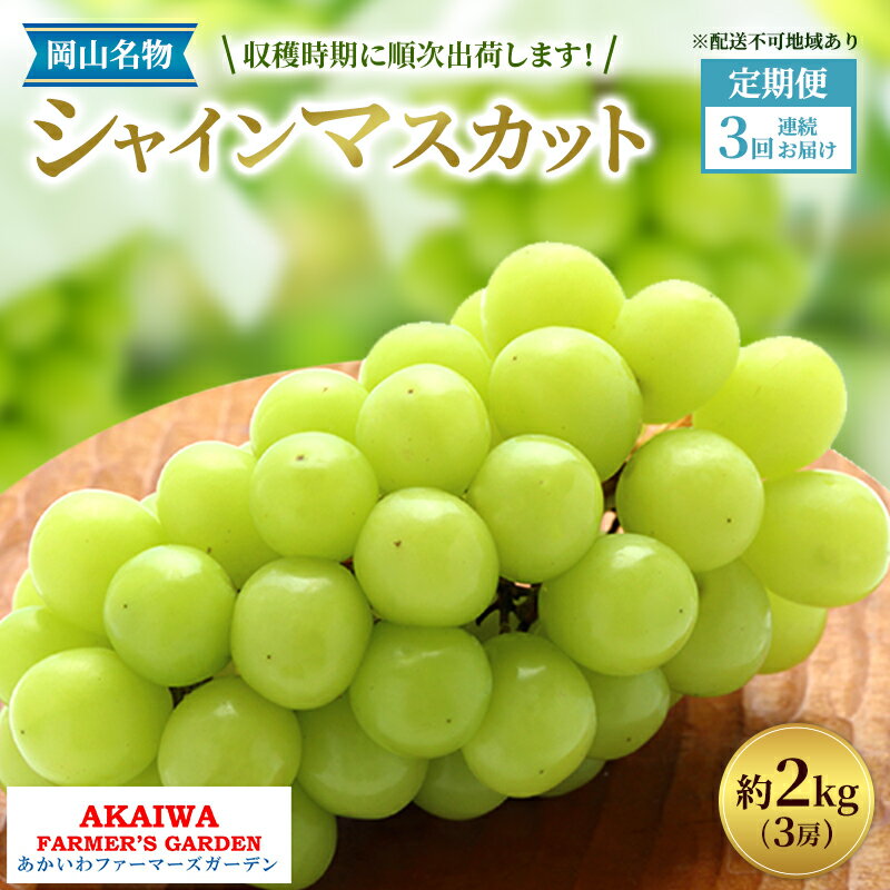 ぶどう 2026年 先行予約 定期便 岡山名産 シャインマスカット 3房 (約2.0kg) 3回連続お届け！ 葡萄 岡山県 赤磐市産 フルーツ 果物 あかいわファーマーズガーデン　お届け：2026年7月中旬～2026年10月中旬
