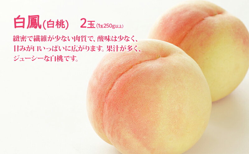 【ふるさと納税】桃 ぶどう 詰合せ 2026年 先行予約 白桃 白鳳 2玉（1玉250g以上） ニュー ピオーネ 1房 約600g 岡山県 赤磐市産 フルーツ 果物 あかいわファーマーズガーデン　お届け：2026年7月上旬～2026年7月中旬 サムネイル3