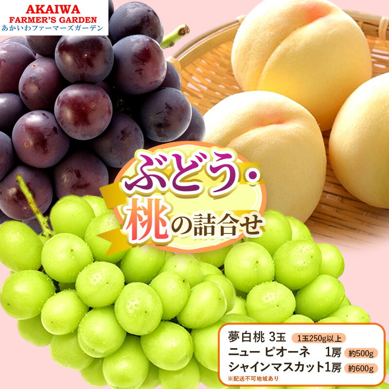 桃 ぶどう 詰合せ 2026年 先行予約 夢白桃 3玉(1玉250g以上) ニュー ピオーネ 1房 約500g シャインマスカット1房約600g 岡山県 赤磐市産 フルーツ 果物 あかいわファーマーズガーデン　お届け：2026年7月下旬～2026年8月中旬
