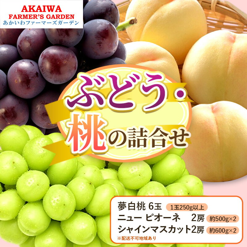 桃 ぶどう 詰合せ 2026年 先行予約 夢白桃 6玉(1玉250g以上) ニュー ピオーネ 2房 約500g×2 シャインマスカット2房約600g×2 岡山県 赤磐市産 フルーツ 果物 あかいわファーマーズガーデン　お届け：2026年7月下旬～2026年8月中旬