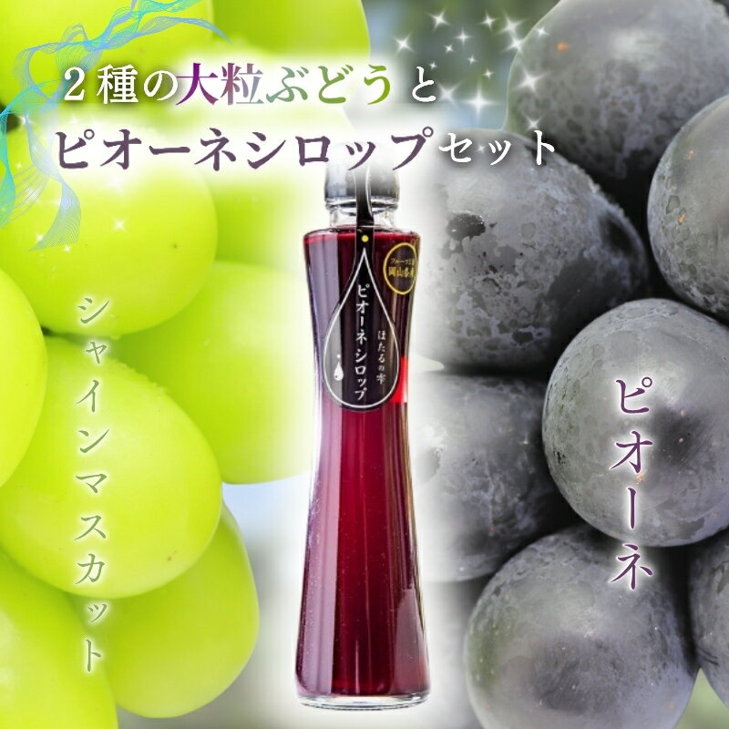 大粒ぶどう2種(計約1.2kg)とピオーネシロップ詰め合わせ【2025年9月下旬〜12月に順次発送予定（お届け日指定不可 ）】/ シャインマスカット ブドウ 葡萄 マスカット 人気 産地直送