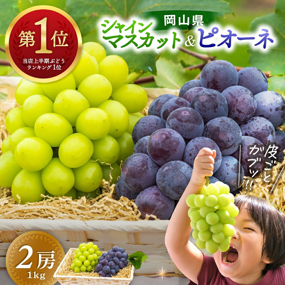 シャインマスカット ニューピオーネ 食べ比べ セット 計1kg〜1.5kg（2房）化粧箱入り 【2026年先行予約】 フルーツ 果物 ギフト 葡萄 ぶどう ブドウ 期間限定 数量限定 送料無料 岡山県 真庭市産 旬 【配送不可地域：離島】