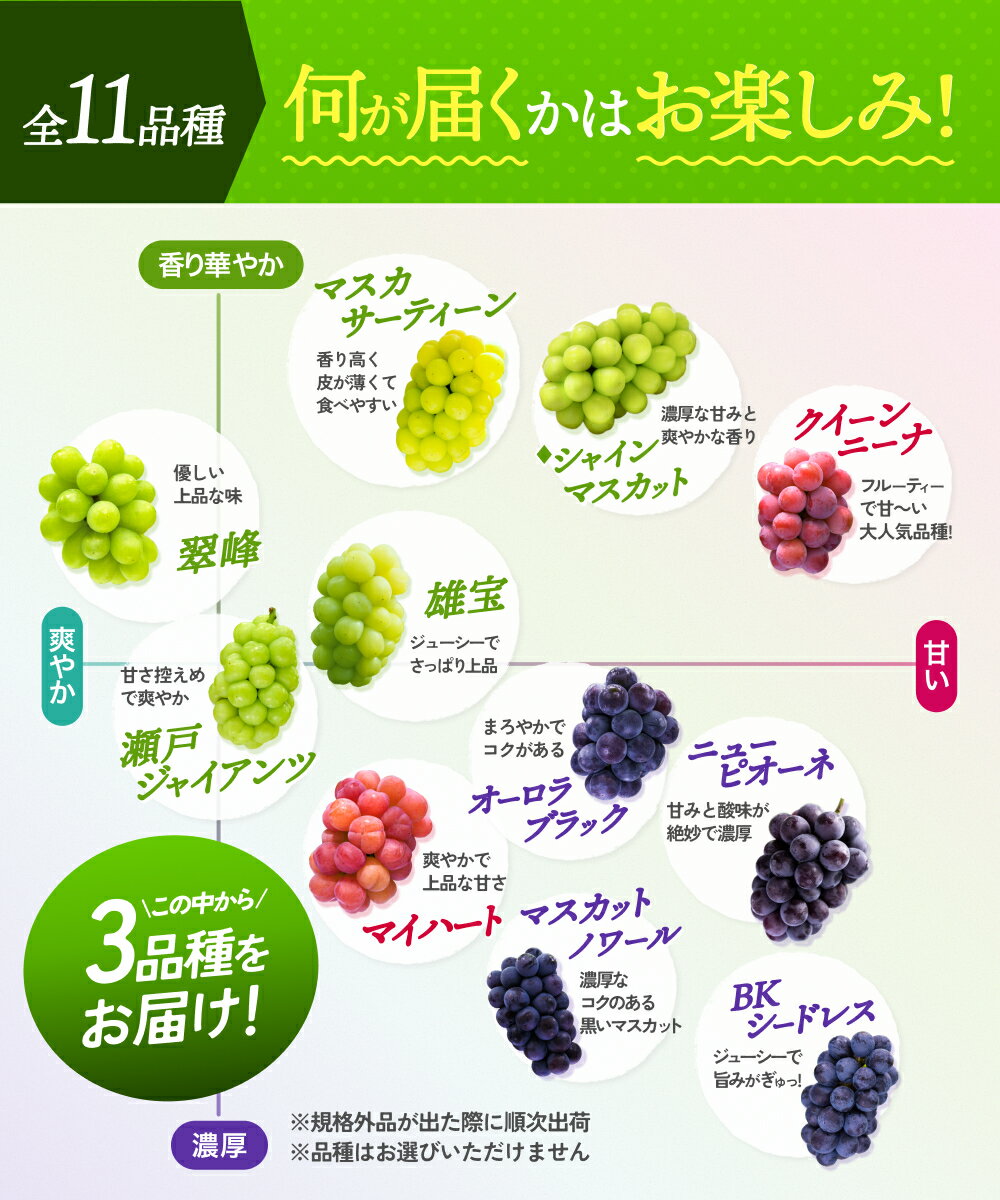 【ふるさと納税】 訳あり 岡山県産 ぶどう詰め合わせ 3種以上 1kg （房または粒詰め） 2026年 先行予約 シャインマスカット ピオーネ 食べ比べ フルーツ 果物 粒 瀬戸ジャイアンツ 花笑み農園 送料無料 冷蔵 岡山県 真庭市 - 画像2