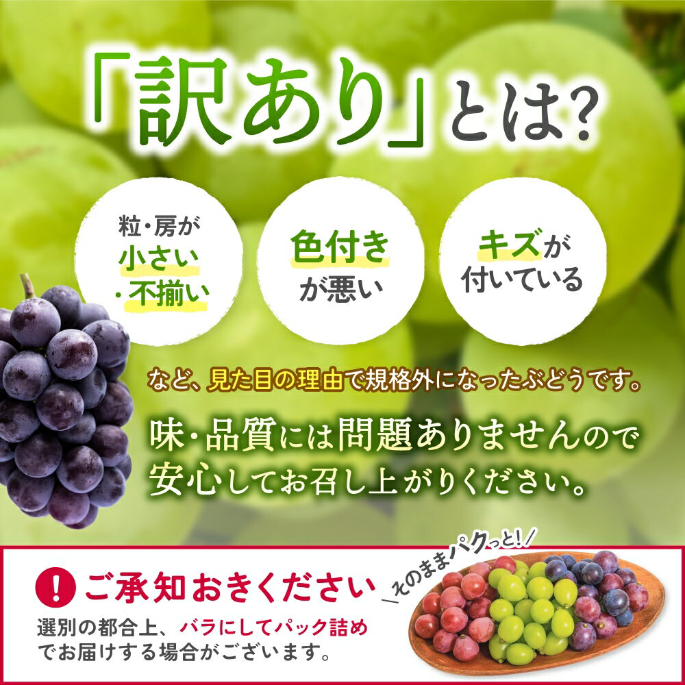 【ふるさと納税】 訳あり 岡山県産 ぶどう詰め合わせ 3種以上 1kg （房または粒詰め） 2026年 先行予約 シャインマスカット ピオーネ 食べ比べ フルーツ 果物 粒 瀬戸ジャイアンツ 花笑み農園 送料無料 冷蔵 岡山県 真庭市 - 画像3