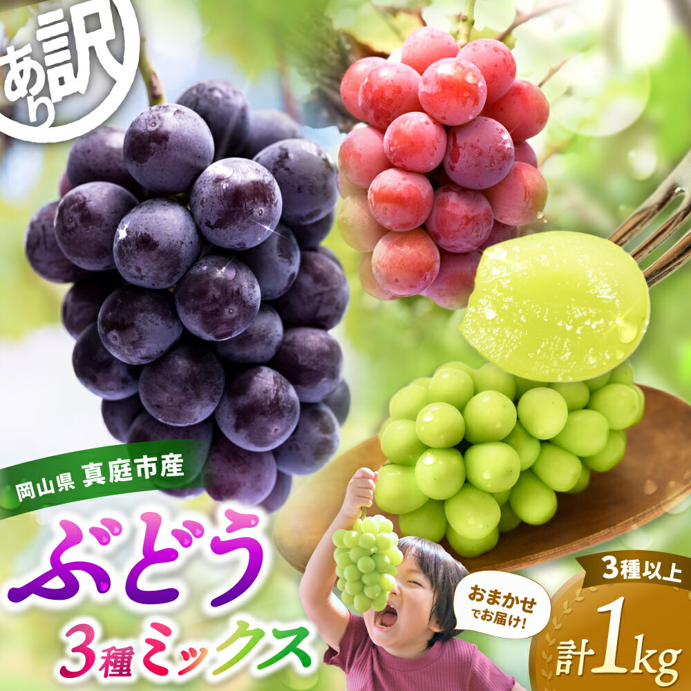 訳あり 岡山県産 ぶどう詰め合わせ 3種以上 1kg （房または粒詰め） 2026年 先行予約 シャインマスカット ピオーネ 食べ比べ フルーツ 果物 粒 瀬戸ジャイアンツ 花笑み農園 送料無料 冷蔵 岡山県 真庭市