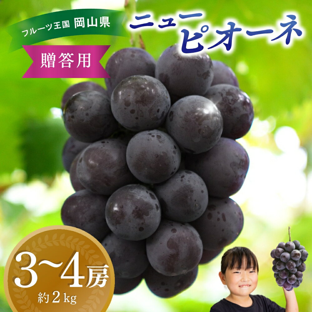 ＼2026年先行予約／ ぶどう 岡山 花笑み農園の『ニューピオーネ』約2kg（ 3～4房） P-2 2026年9月上旬～受付順に発送予定 贈答用 岡山 真庭 ピオーネ 高級 2kg 贈答 2026 真庭市 大粒 葡萄 果物 フルーツ 濃厚ピオーネ 人気 数量限定