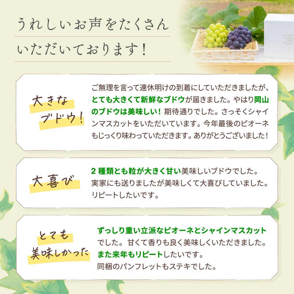 【ふるさと納税】 シャインマスカット ニューピオーネ 食べ比べ セット 計1kg〜1.5kg（2房）化粧箱入り 【2026年先行予約】 フルーツ 果物 ギフト 葡萄 ぶどう ブドウ 期間限定 数量限定 送料無料 岡山県 真庭市産 旬 【配送不可地域：離島】 - 画像2