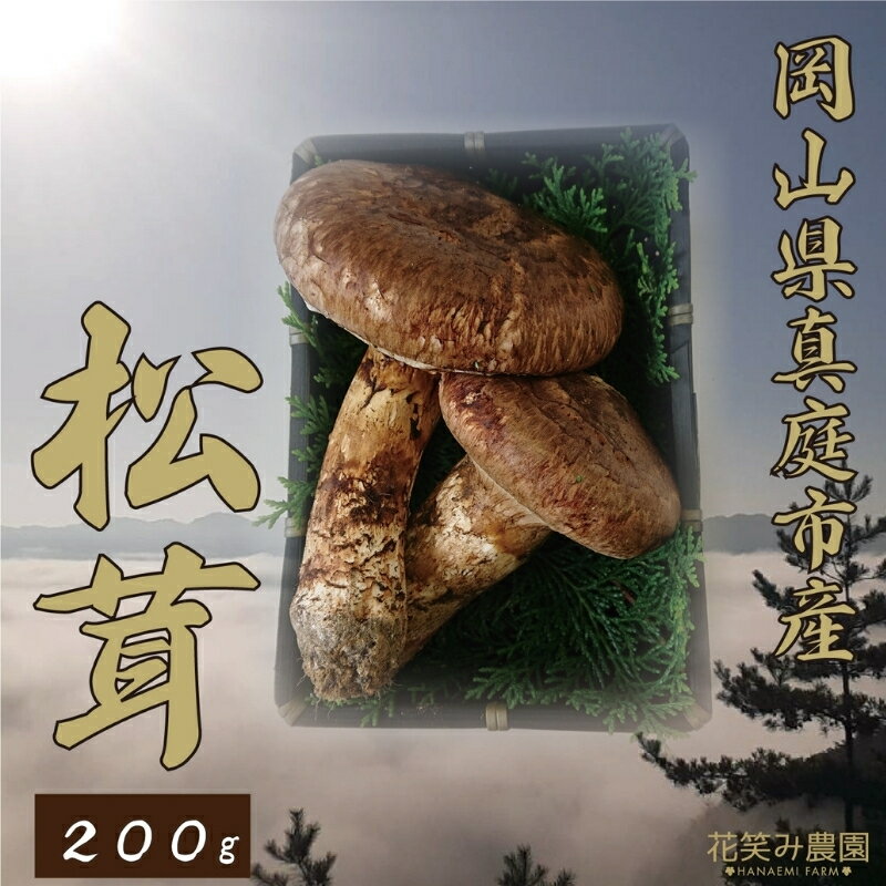 ＼2026年先行予約／ 花笑み農園 岡山県産『松茸』 200g(2〜5本) hana11 【2026年9月下旬〜順次発送】【配送不可地域：離島】国産 岡山県 真庭市 希少 産地直送 松茸 天然物 まつたけ マツタケ きのこ キノコ 茸