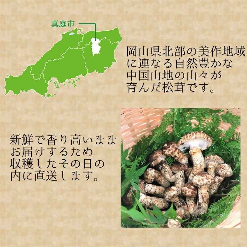 【ふるさと納税】 ＼2026年先行予約／ 花笑み農園 岡山県産『松茸』 200g(2〜5本) hana11 【2026年9月下旬〜順次発送】【配送不可地域：離島】国産 岡山県 真庭市 希少 産地直送 松茸 天然物 まつたけ マツタケ きのこ キノコ 茸 - 画像2