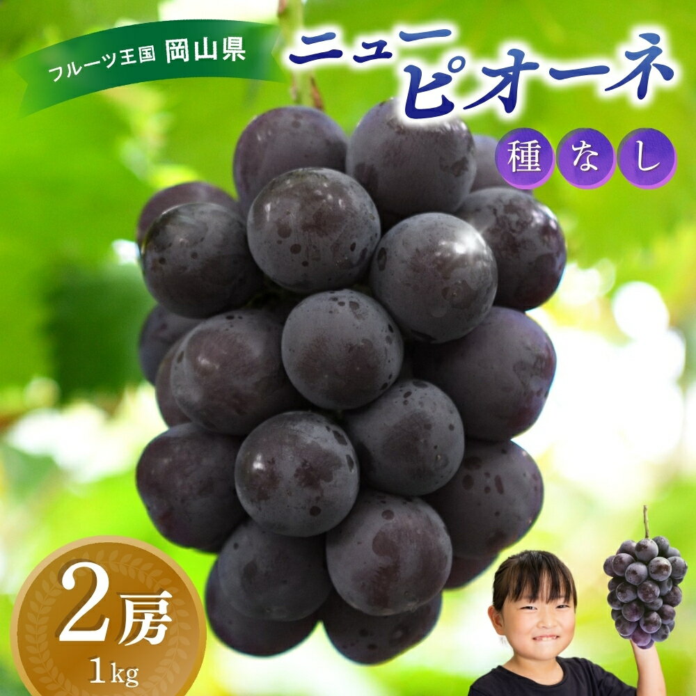 ＼2026年先行予約／ ぶどう 岡山 花笑み農園『ニューピオーネ』1kg（2房） P-1 hana14　2026年9月上旬～受付順に発送予定　ブドウ 贈答用 岡山 真庭 ピオーネ 高級 真庭市 大粒 葡萄