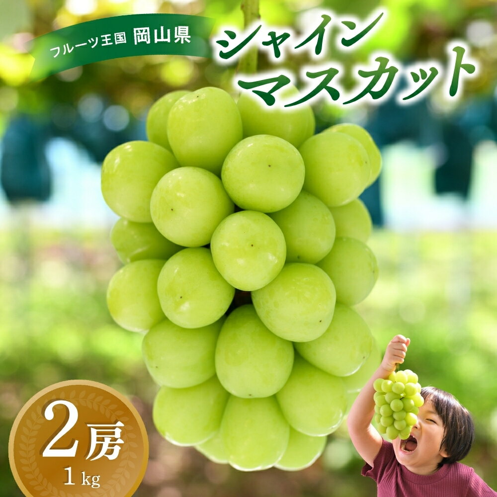 ＼2026年先行予約／ 【岡山県真庭市産】花笑み農園のシャインマスカット 1kg(2房) S-1 2026年9月下旬～受付順に発送予定 贈答用 シャインマスカット 高級 マスカット 贈答 2025 大粒 葡萄 ブドウ 果物 フルーツ