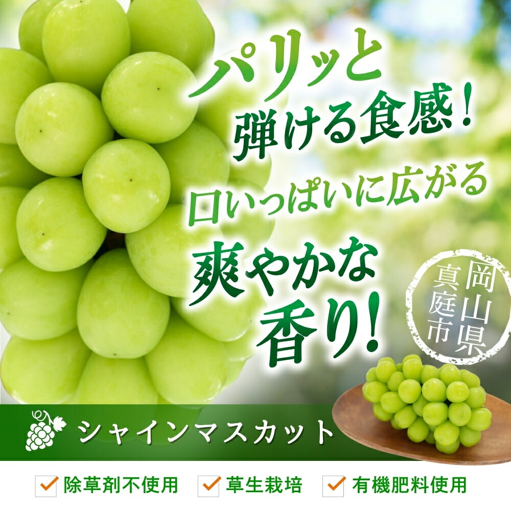 【ふるさと納税】 ＼2026年先行予約／ 【岡山県真庭市産】花笑み農園のシャインマスカット 1kg(2房) S-1 2026年9月下旬～受付順に発送予定 贈答用 シャインマスカット 高級 マスカット 贈答 2025 大粒 葡萄 ブドウ 果物 フルーツ サムネイル3