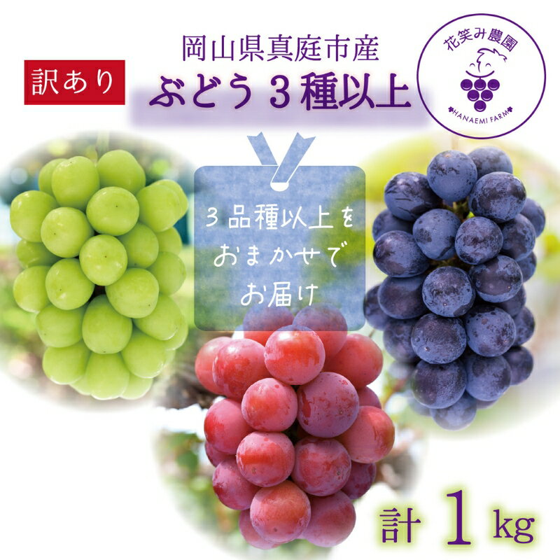 ＼2026年先行予約／ 岡山 花笑み農園のブドウ『訳ありMIX3種以上』1kg 【2026年9月中旬～順次発送】【配送不可地域：離島】ぶどう 葡萄 詰め合わせ シャインマスカット ピオーネ オーロラブラック 瀬戸ジャイアンツ 食べ比べ フルーツ 真庭市 マスカット