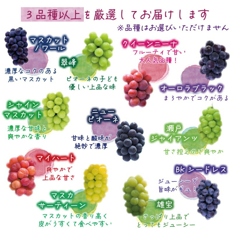【ふるさと納税】 ＼2026年先行予約／ 岡山 花笑み農園のブドウ『訳ありMIX3種以上』1kg 【2026年9月中旬～順次発送】【配送不可地域：離島】ぶどう 葡萄 詰め合わせ シャインマスカット ピオーネ オーロラブラック 瀬戸ジャイアンツ 食べ比べ フルーツ 真庭市 マスカット サムネイル3