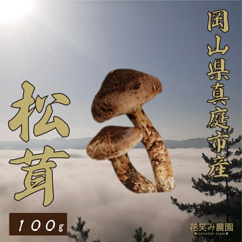 【2026年先行予約】 岡山県産『松茸』 100g(1〜3本) 花笑み農園 【9月下旬〜順次発送】 国産 岡山県 真庭市 希少 産地直送 松茸 天然物 まつたけ きのこ