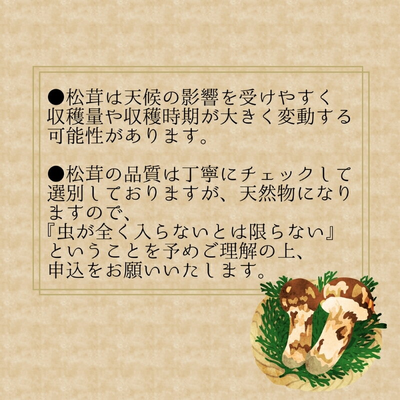 【ふるさと納税】 【2026年先行予約】 岡山県産『松茸』 100g(1〜3本) 花笑み農園 【9月下旬〜順次発送】 国産 岡山県 真庭市 希少 産地直送 松茸 天然物 まつたけ きのこ - 画像3
