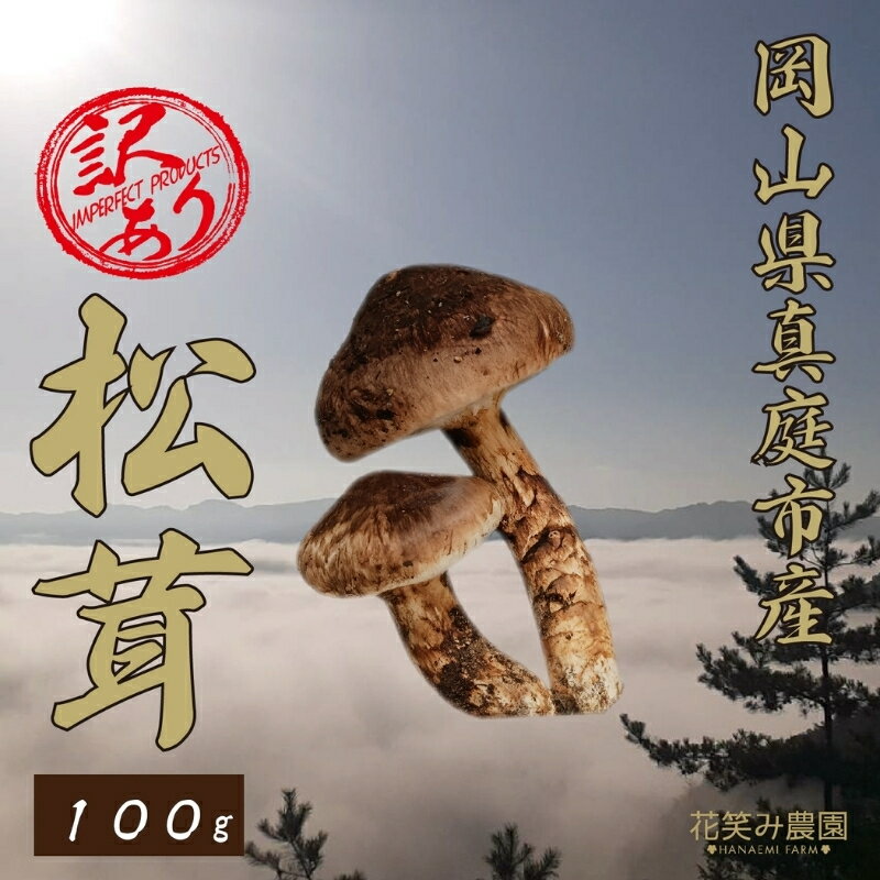 【2026年先行予約】 花笑み農園 岡山県産 訳あり 『松茸』100g（1〜4本） 【2026年9月下旬〜順次発送】 国産 岡山県 真庭市 希少 産地直送 松茸 天然物 訳あり きのこ 訳あり松茸 まつたけ