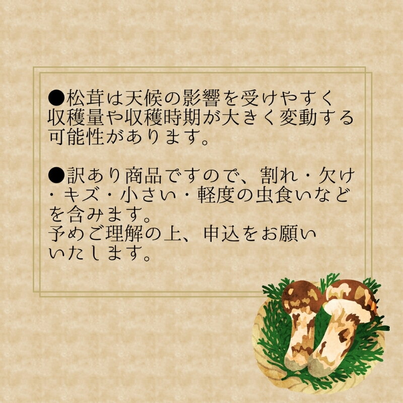 【ふるさと納税】 【2026年先行予約】 花笑み農園 岡山県産 訳あり 『松茸』100g（1〜4本） 【2026年9月下旬〜順次発送】 国産 岡山県 真庭市 希少 産地直送 松茸 天然物 訳あり きのこ 訳あり松茸 まつたけ - 画像3