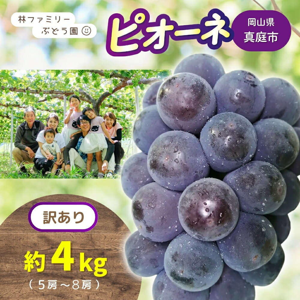 ※2026年の予約です！※ 【 訳あり 】岡山県産 林ファミリー の ピオーネ 約4kg（約5〜8房） 【2026年 先行予約 】 / 葡萄 ぶどう ブドウ ピオーネ 果物 フルーツ 新鮮 当日出荷 お買い得 家庭用 お試し ぶどう専門 岡山 真庭市