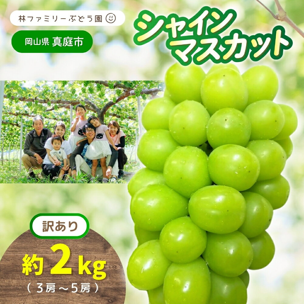 ※2026年の予約です！※ 【 訳あり 】岡山県産 林ファミリー の シャインマスカット 約2kg（約3〜5房） 【2026年先行予約】 / 葡萄 ぶどう マスカット 果物 フルーツ 新鮮 当日出荷 お試し 家庭用 真庭市
