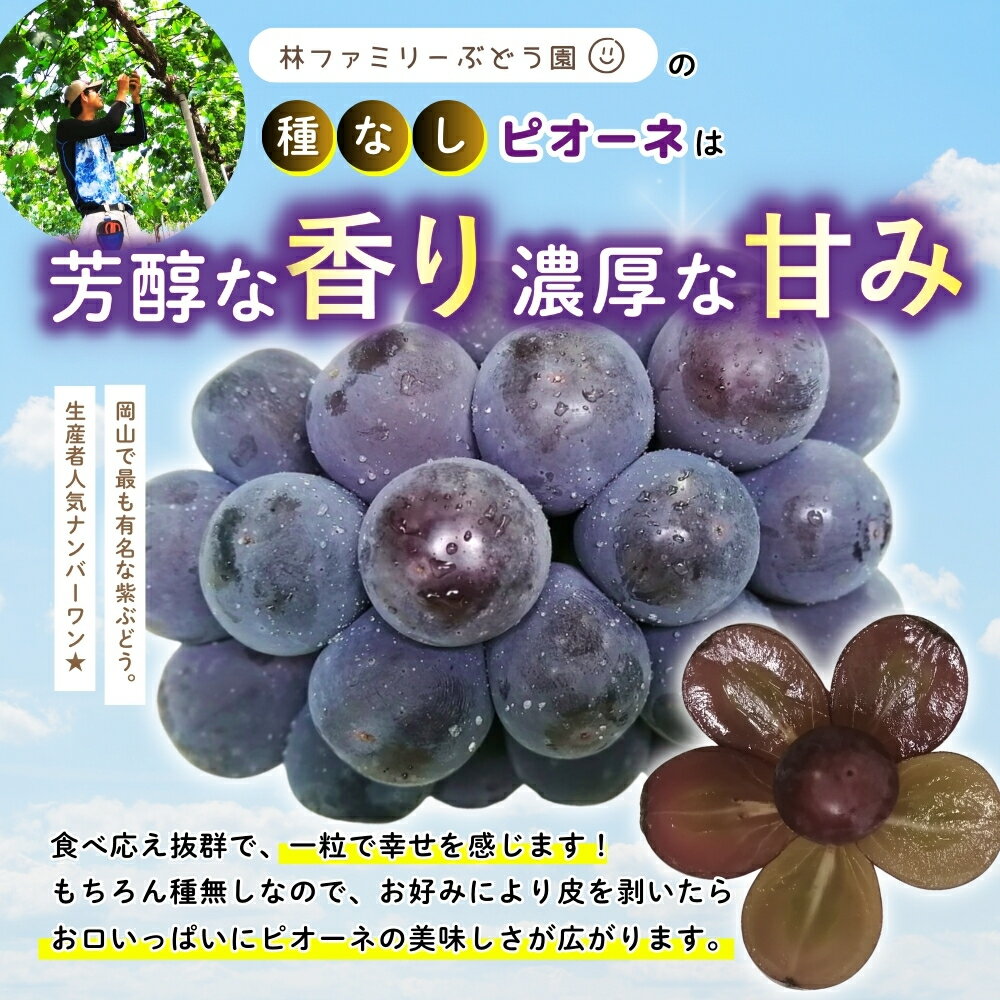 【ふるさと納税】 ※2026年の予約です！※ 【 訳あり 】岡山県産 林ファミリー の ピオーネ 約4kg（約5〜8房） 【2026年 先行予約 】 / 葡萄 ぶどう ブドウ ピオーネ 果物 フルーツ 新鮮 当日出荷 お買い得 家庭用 お試し ぶどう専門 岡山 真庭市 サムネイル3