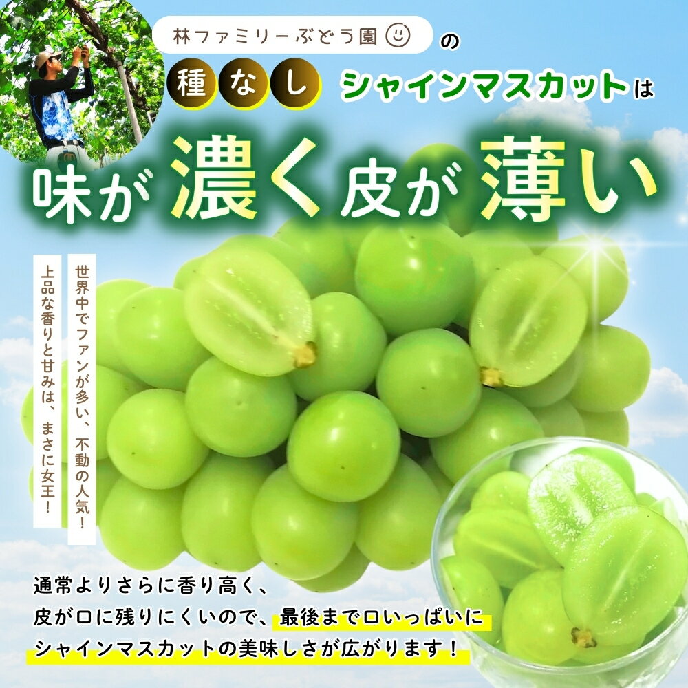 【ふるさと納税】 ※2026年の予約です！※ 【 訳あり 】岡山県産 林ファミリー の シャインマスカット 約2kg（約3〜5房） 【2026年先行予約】 / 葡萄 ぶどう マスカット 果物 フルーツ 新鮮 当日出荷 お試し 家庭用 真庭市 サムネイル3