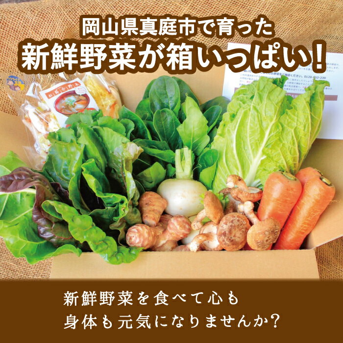 【ふるさと納税】 【岡山の旬をお届け！】真庭あぐり野菜セット 7〜8品 便利なカット野菜入り / 岡山産直工房 産地直送 農家 お試し おためし野菜 岡山 旬野菜 新鮮 真庭 あぐりガーデン 十字屋 国産 【配送不可地域：離島・北海道・沖縄県】 サムネイル2