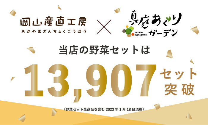 【ふるさと納税】 【岡山の旬をお届け！】真庭あぐり野菜セット 7〜8品 便利なカット野菜入り / 岡山産直工房 産地直送 農家 お試し おためし野菜 岡山 旬野菜 新鮮 真庭 あぐりガーデン 十字屋 国産 【配送不可地域：離島・北海道・沖縄県】 サムネイル3