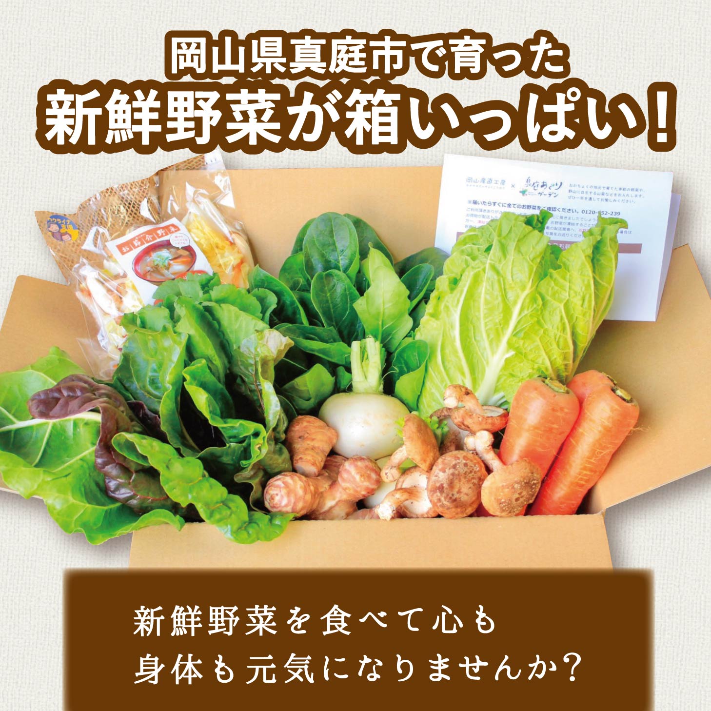 【ふるさと納税】まにわの野菜 真庭あぐり野菜セット 7～8品 カット野菜入り / 詰め合わせ 産地直送 岡山県 真庭市 新鮮 あぐりガーデン 産直工房 国産【配送不可地域：北海道／沖縄県／離島】 - 画像3