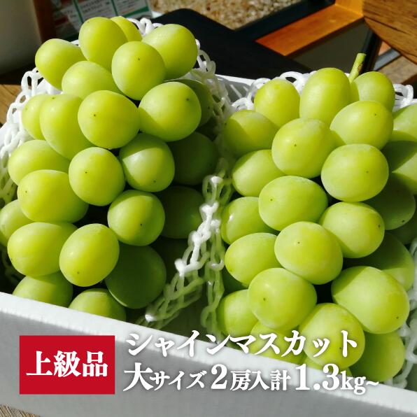 【ふるさと納税】 【きよとうファーム】シャインマスカット 特大2房入/計1.3kg〜(岡山県産)【配送不可地域：離島】ぶどう ブドウ 葡萄 岡山 シャインマスカット フルーツ 果物 真庭市 サムネイル2