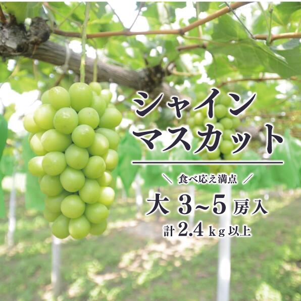 【ふるさと納税】 【きよとうファーム】シャインマスカット 上級品 大3-5房/計2.4kg〜(岡山県産) 【9月以降より順次発送予定】【配送不可地域：離島】 / シャインマスカット 葡萄 ぶどう 果物 くだもの フルーツ 上級品 岡山県産 大人気 サムネイル2