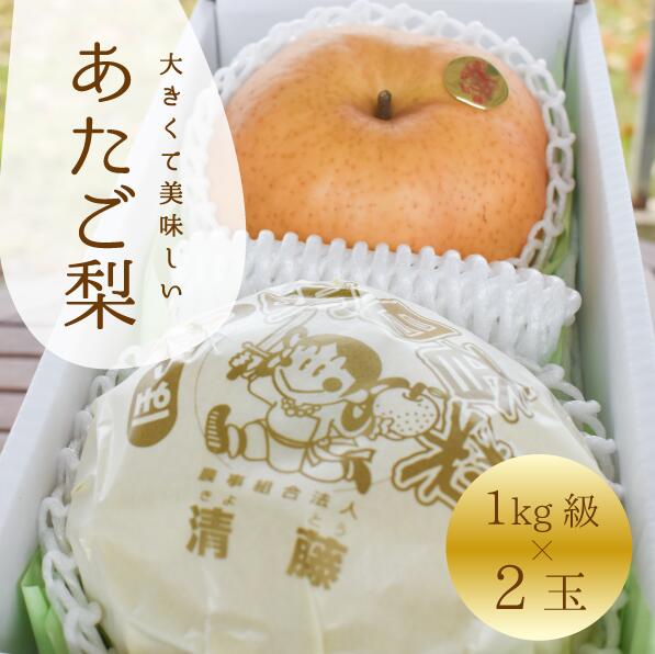 【きよとうファーム】あたご梨 上級品 2玉入(1.0kg級/玉) (岡山県産) 【2025年11月以降より順次発送予定】【KF-C004-01】 / あたご梨 愛宕梨 梨 特選品 上級品 贈り物 御歳暮 果物 くだもの フルーツ 和梨