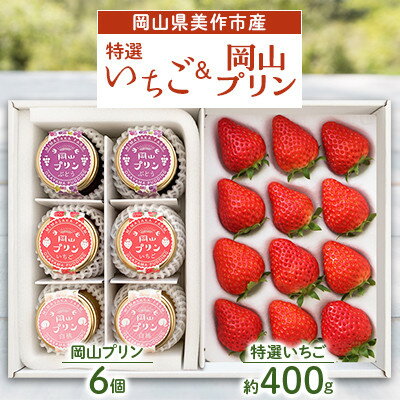 岡山県美作市産　特選いちご&岡山プリン詰合せ(いちご約400g、プリン6個)【配送不可地域：離島・北海道・沖縄県】【1073698】