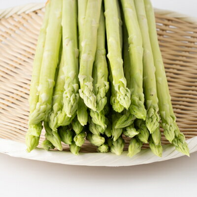 【ふるさと納税】岡山県産　朝採れアスパラガス　1キロ_野菜 新鮮 美味しい 人気 ギフト お取り寄せ 岡山 グルメ 送料無料 岡山県産 アスパラガス 朝採れ 野菜 新鮮 美味しい 人気 ギフト お取り寄せ グルメ 送料無料【配送不可地域：離島】【1143586】 - 画像2