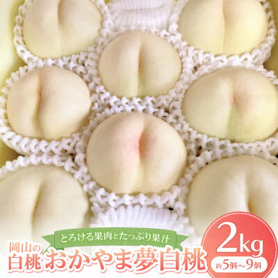 【先行予約・2026年8月上旬より発送予定】岡山の白桃・おかやま夢白桃(2kg箱)【配送不可地域：離島】【1294298】