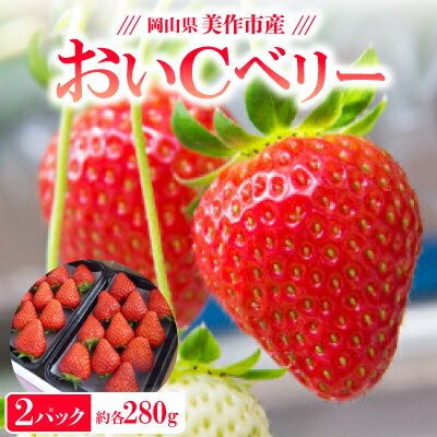 岡山県美作市産　おいCベリー(約280g×2パック)【配送不可地域：離島・北海道・沖縄県】【1464410】