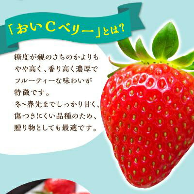 【ふるさと納税】岡山県美作市産　おいCベリー(約280g×2パック)【配送不可地域：離島・北海道・沖縄県】【1464410】 サムネイル2