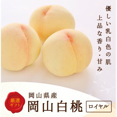 【2026年発送】岡山県産　白桃 5玉 (1.5kg以上) 等級:ロイヤル 木箱入り【配送不可地域：離島・北海道・沖縄県】【1505627】