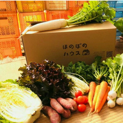 【ふるさと納税】【畑から直送】岡山美作産　旬を楽しみ味覚を育む野菜約8種(約5kg)【配送不可地域：離島】【1524200】 - 画像2