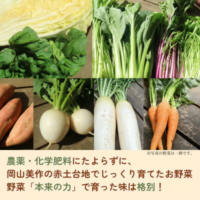 【ふるさと納税】【畑から直送】岡山美作産　旬を楽しみ味覚を育む野菜約8種(約5kg)【配送不可地域：離島】【1524200】 - 画像3